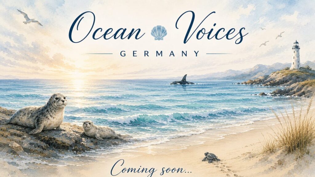 Das aktuelle Bild hat keinen Alternativtext. Der Dateiname ist: cropped-WhatsApp-Image-2026-07-18-at-11.54.26.jpeg